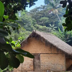 Visite Guidée De La Tribu Guarani