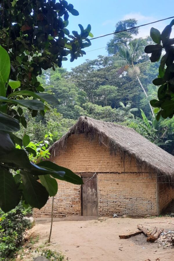 Visita Guiada Tribo Guarani